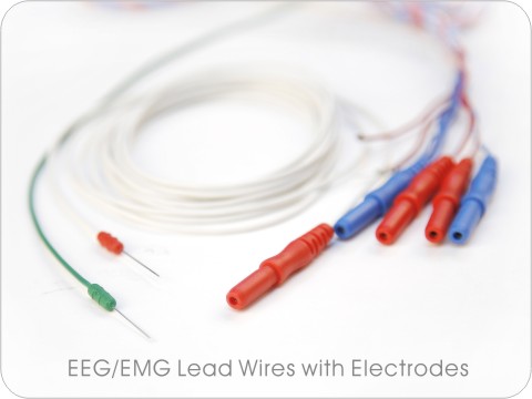 EEG/EMG Lead Wires With Electrodes 